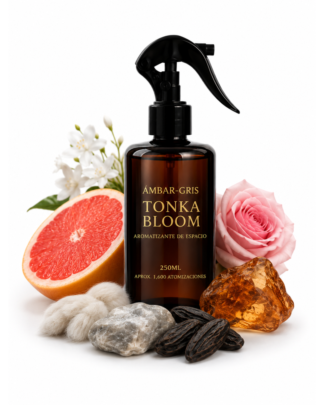 TONKA BLOOM