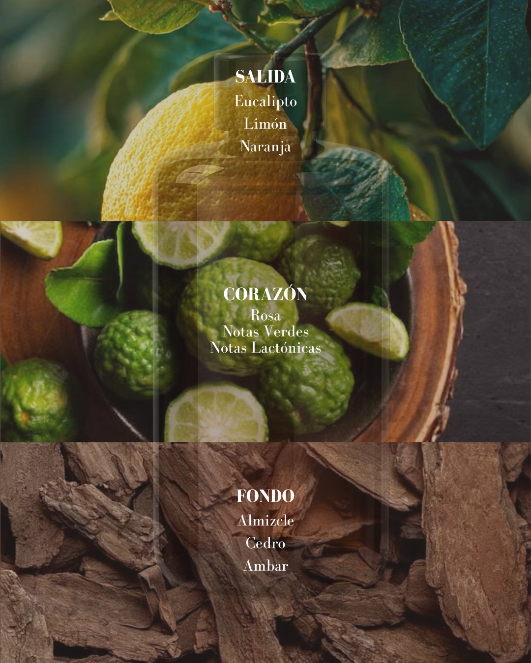 AMBER LEAF